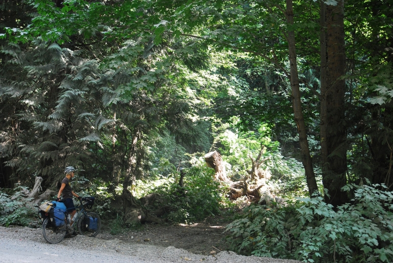Zeltplatzsuche im dichten Wald