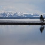 Yellowstone Lake