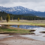 Yellowstone Landschaft