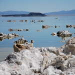 Skulpturen am Mono Lake