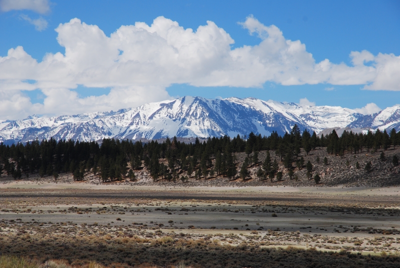 Szenerie um den Mono Lake