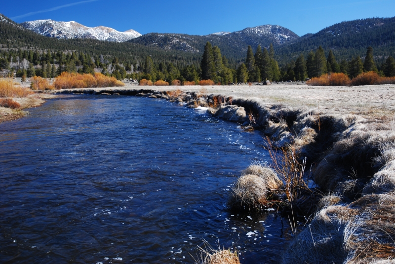 Sierra Nevada