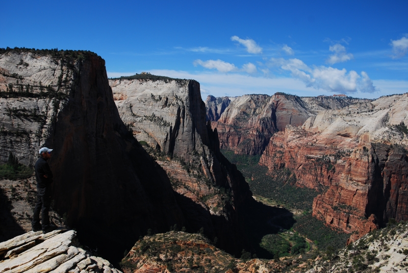 im Zion NP