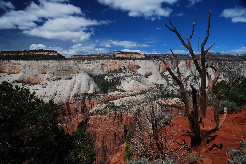 Zion NP