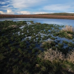 seltenes Wasser