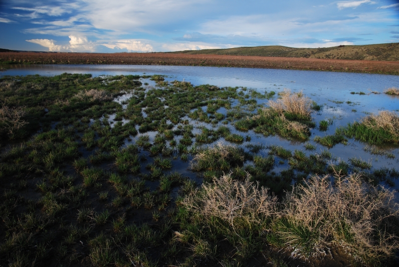 seltenes Wasser